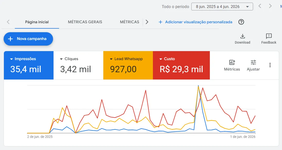 Painel real do Google Ads — campanha de investigação particular
